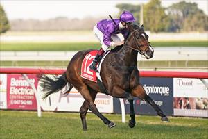 PRINCESS BRINGS UP DOUBLE TON FOR SIRE